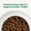Nutro Natural Choice Lamb, Vegetable and Brown Rice Flavor Adult Dry Dog Food - 20lbs - 3 of 4