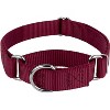 Country Brook Petz Martingale Heavyduty Training Collar with No Buckle - Service Collar for All Dogs - Vibrant, Colorful Collection - 3 of 4