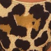 leopard print