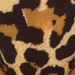leopard print
