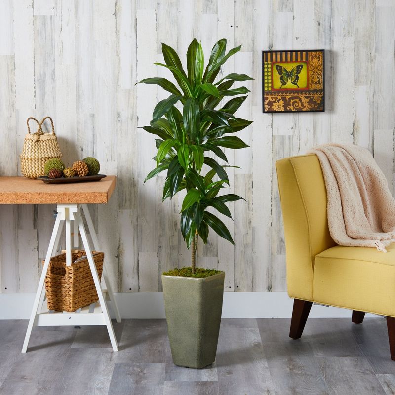 Nearly Natural 4.5-ft Dracaena Artificial Plant in Green Planter (Real Touch), 3 of 4