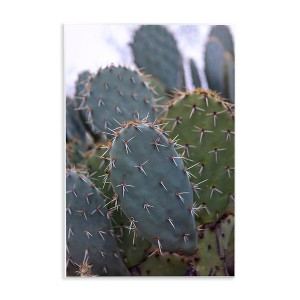 Stupell Industries Prickly Cactus Thorns Close Up Photography Desert Vegetation Wall Plaque Art, 10" x 15" - 1 of 4