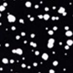 engineered dots