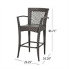SKRAN Outdoor Wicker Bar Chair Set of 2, Modern Traditional Style Iron Frame Waterproof Bar Chair for Patio, Garden, Outdoor, Brown Multi - 3 of 4