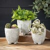 5.5"H Sullivans Medium Floral Line Art Pots Set of 3, Gray - 3 of 4