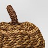 Patterned Woven Pumpkin Natural - Threshold™ - 3 of 3