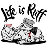 Men's One Hundred and One Dalmatians Life is Ruff T-Shirt - 2 of 4