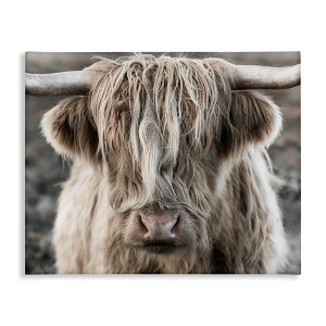 Stupell Industries Detailed Highlands Cattle Rural Farm Photography Canvas Wall Art - 1 of 4