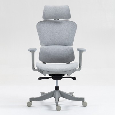 Dolonm Ergonomic Home Office Chair with Adjustable Lumbar & Headrest - Breathable Mesh Back, 4D Armrests, 90°-120° Recline