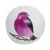 Transpac Dolomite Bird Salt and Pepper Shaker Set of 2 Ceramic Spring Multicolored Tabletop Decor for Home - 2 of 4