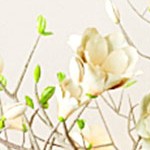 white+particle board+mdf