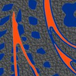 new york islanders