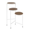 Kate and Laurel Fields Round Metal Plant Stand, 17x22x30, White - 2 of 4