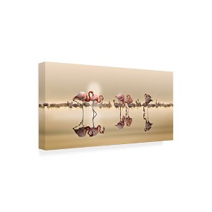 Trademark Fine Art -Nasser Osman 'Flamingos Reflection' Canvas Art - 1 of 4