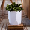 Bloem 10" Tuxton Modern Hexagon Small Planter, Casper White - 4 of 4