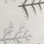 winter forest