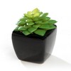 K-Cliffs Set of 4 Mini Artificial Succulents Small Fake Cactus Decorative Faux Plants Potted in Cube-Shape Black Ceramic Pots Bathroom Office Decor - 3 of 3