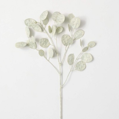 Sullivans Artificial Dried Mint Green Linaria 33"H Green
