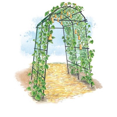 Extra Tall Titan Squash Tunnel, Lightweight Metal Garden Trellis for Vegetables and Flowers - Gardener's Supply Company