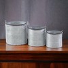 Cheung's Georgina Set of 3 Tapered Metal Buckets - 2 of 2