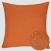 Tramull Rainforest Solid Pillow Cover 20x20 Inch, Indoor/Outdoor Water Resistant Decorative Pillow, Solarium Polyester - 2 of 4