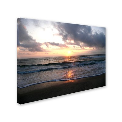 Trademark Fine Art -Monica Fleet 'Gentle Rise' Canvas Art