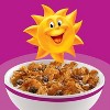 Kellogg's Raisin Bran Breakfast Cereal - 2 of 4