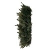 Vickerman Georgian Fraser Fir Wreath - 4 of 4