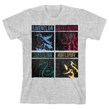 Harry Potter Youth Houses Gray Target T-shirt-xs 4 Hogwarts : Heather Boys