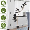 6.9FT Artificial Tropical Bonsai Tree With Planter, Faux Floor Plant With Realistic Leaves For Outdoor Indoor Home Office Living Room Decoration - 3 of 4