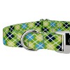 Country Brook Petz Premium Dog Collar - Plaid and Argyle Collection - 4 of 4