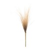 Melrose Grass Plume Bundle (Set of 2) - 3 of 4