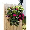 Bloomers Square Polyethylene Outdoor Planter Wall Rack - 2 of 3