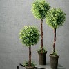 Sullivans Artificial Set of 3 Tealeaf Berry Topiary Tree 22"H, 26"H & 30"H Green - 2 of 4