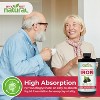 Why Not Natural Liquid Iron Supplement for Adults & Kids – Vegan, Non-GMO, Sugar-Free Formula for Anemia, with Organic Blackberry Flavor, 16 fl oz - 3 of 4