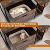 Acekool Hidden Cat Litter Cabinet - Discreet Corner Design with Pull-Out Tray & Plant Shelf - 4 of 4