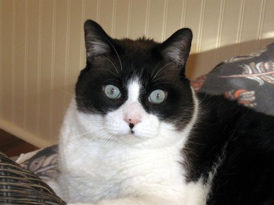 Guest review image 3 of 4, zoom in