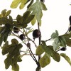 Plum & Post Fig Tree With Figs Potted Drop-In 34" - 2 of 3
