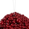 Northlight Shiny Berries Christmas Ball Ornament - 6" - Red - 4 of 4