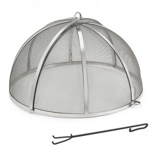 Good Directions 30" LG Spark Fireplace Screen Stainless Steel - 1 of 4