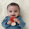 Itzy Ritzy Pop Teethers - 4 of 4