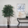Vickerman Artificial Mini Ficus Extra Full Series - 2 of 3