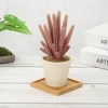 Unique Bargains Bamboo Wood Saucer Square Plant Tray Bonsai Succulent Pot - 4 of 4