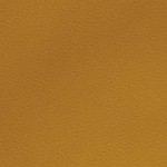 new england patriots