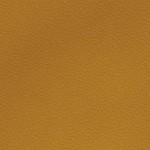 new england patriots