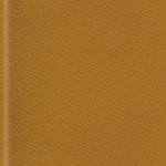 new england patriots