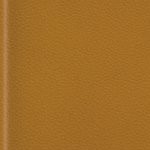 new england patriots