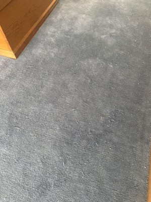 Guest review image 1 of 2, zoom in