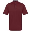 Men's Short Sleeve Henley Polo Shirt with Contrast-Trim - 2 of 4