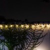 10ct Integrated LED Edison Bulb String Lights with Timer - Black Wire - Alpine Corporation - 4 of 4